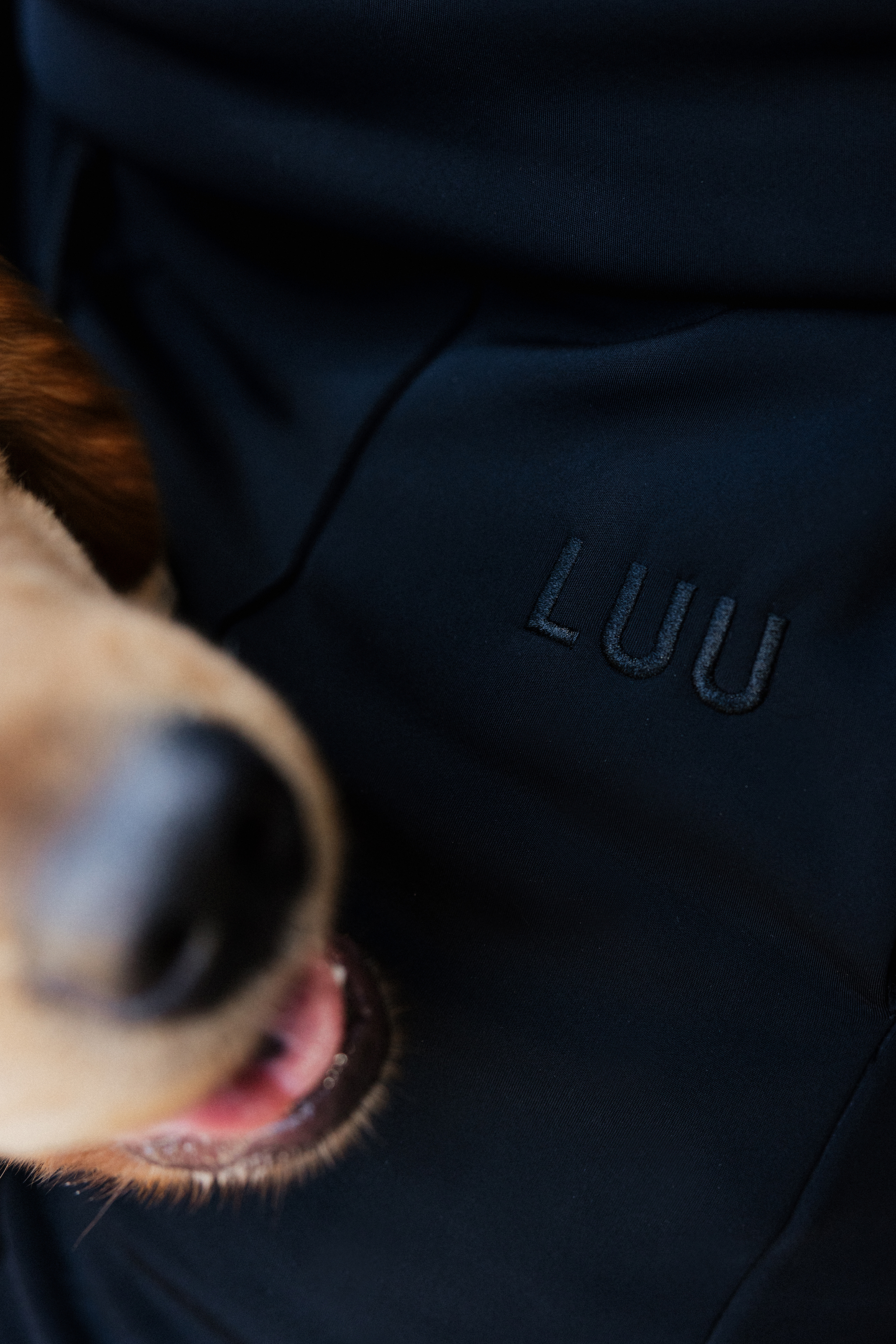 LUU Pet Hair Resistant Sweatpants