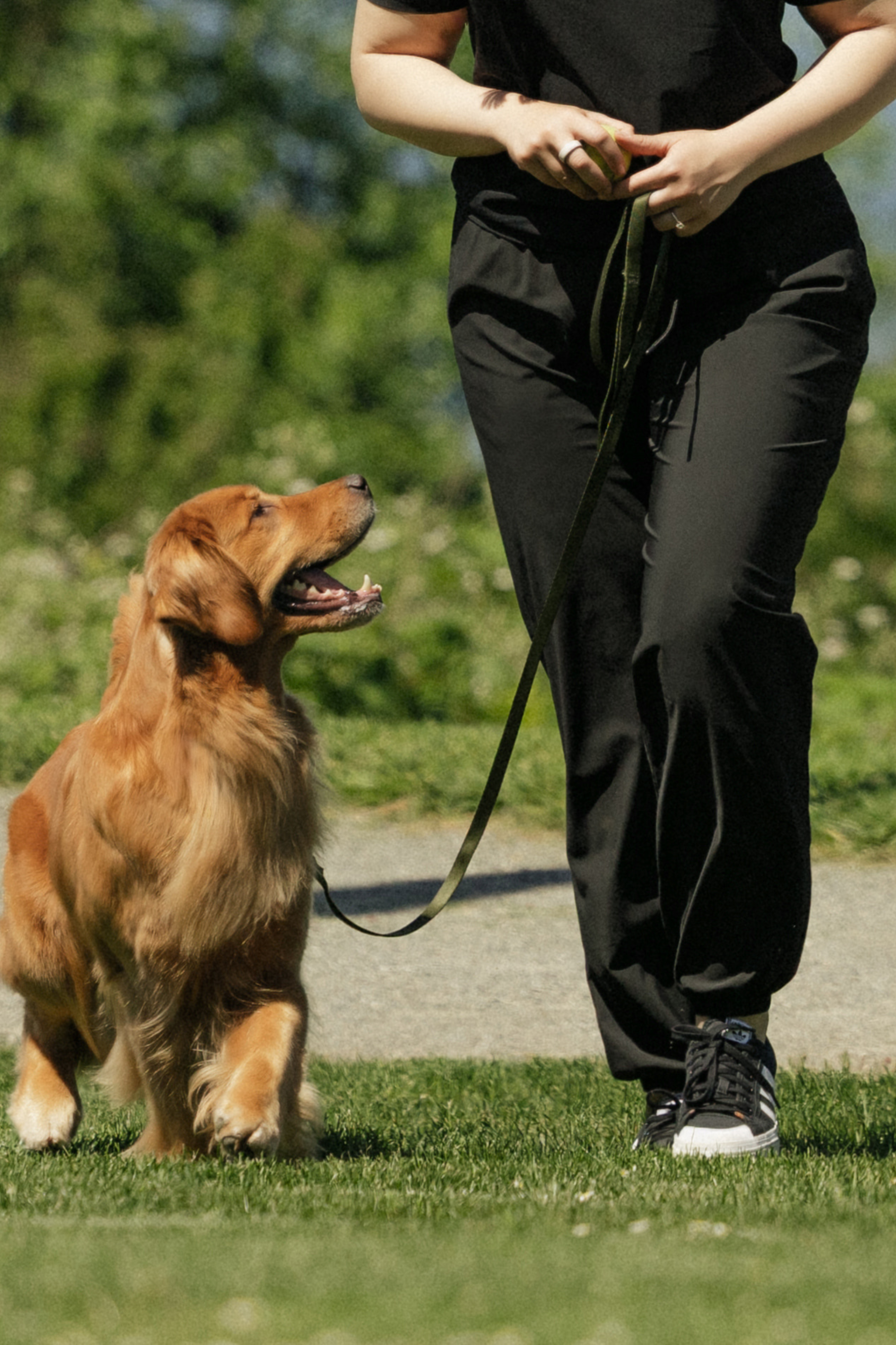 [PREORDER] LUU Pet Hair Resistant Joggers