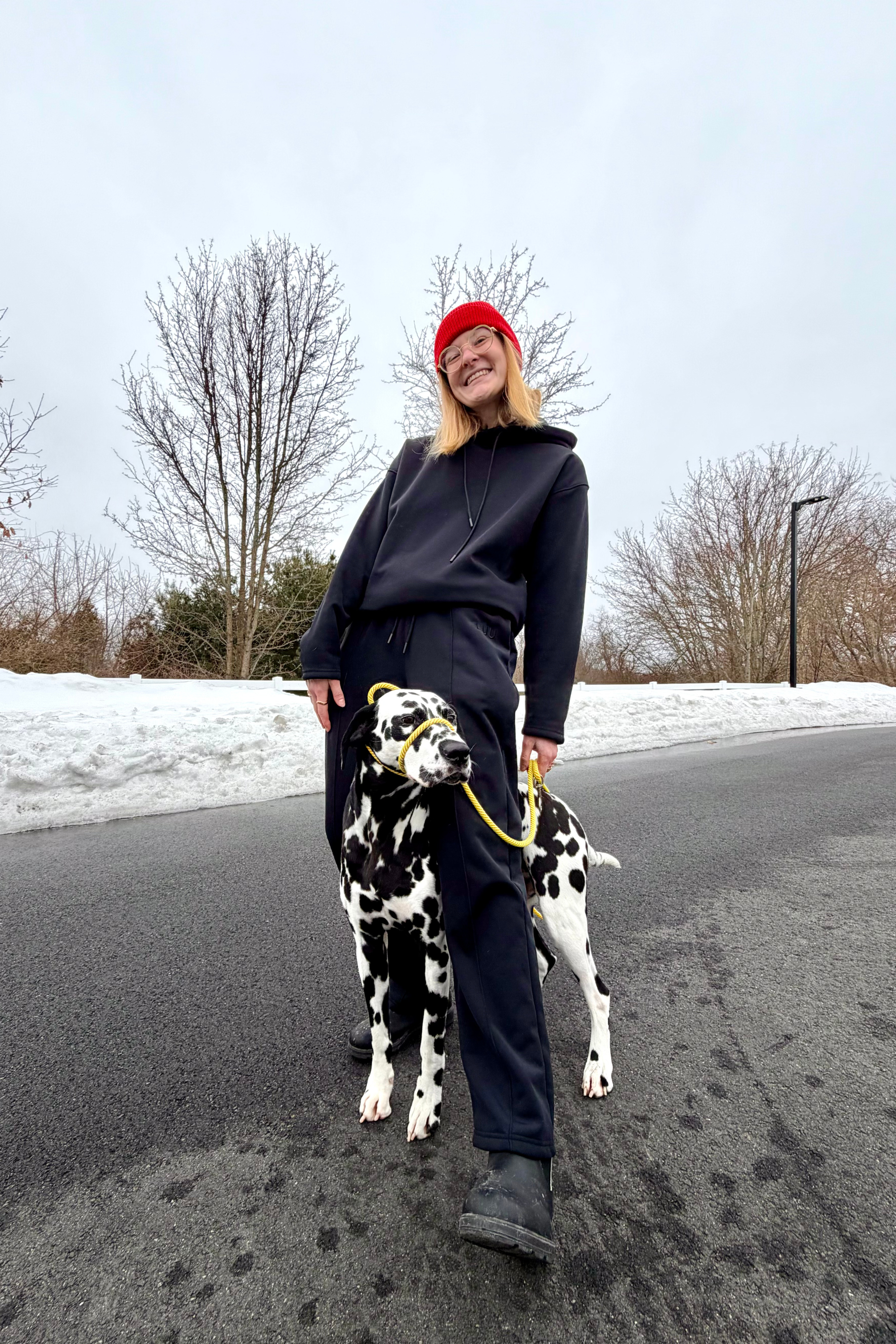 LUU Pet Hair Resistant Hoodie
